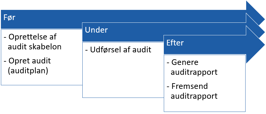 Audit processen